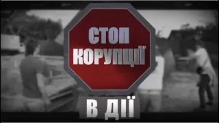 Громадські організації Денисенка виявилися фантомами