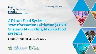 African Food Systems Transformation Initiative (AFSTI): Sustainably scaling African food systems