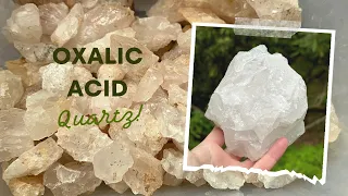 How to Clean Quartz the Right & Fast Way with Oxalic Acid | Hogg Mine Milky Quartz Crystal Cleaning