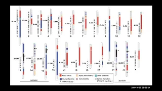 Telomere-to-Telomere Chromosome Assemblies: New Insights Into Genome Biology & Structure