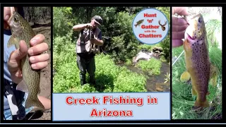 STREAM FISHING IN ARIZONA - Rainbows and Browns! Cleaning and Cooking Trout - Creek - River - Brook