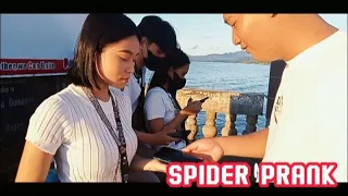 SPIDER PRANK WITH MAGIC