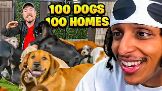 Mr Beast Found 100 Dogs 100 Homes!