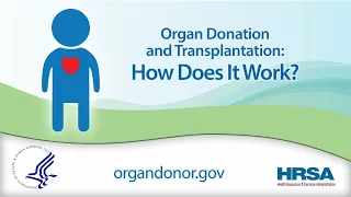 Organ Donation and Transplantation: How Does it Work?