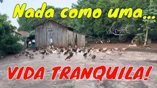 VIDA TRANQUILA - Ivan Souza & Júlio César