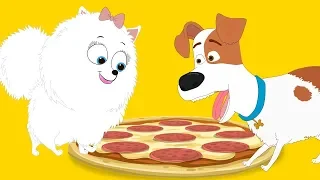 The Secret life of pets in real life GIDGET and MAX share Pizza !