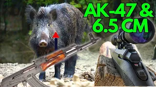 HUNTING with 2 Weapons! HOGS AIM-POINT