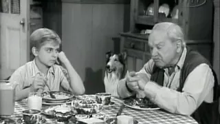 Lassie  S02e32  Domino