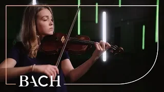 Bach - Largo from Violin sonata in C major BWV 1005 - Lottman | Netherlands Bach Society