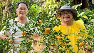 NAGKASUNDO NA. MALINAW NA! FARM TOUR na sa kanyang NATURAL FARMING!