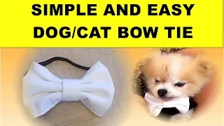 HOW TO MAKE EASY NO SEW DOG/CAT BOW TIE