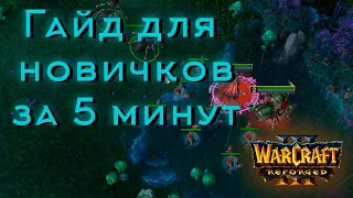 Варкрафт 3 Гайд для новичка за 5 минут! Warcraft 3 reforged.