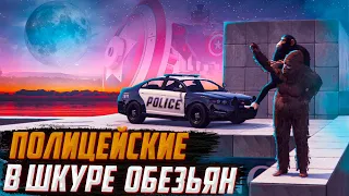 ОБЕЗЬЯНЫ-ПОЛИЦЕЙСКИЕ ТЕРРОРИЗИРУЮТ ГОРОД В GTA 5 RP |  MAJESTIC RP | ГТА 5 ОНЛАЙН | ГТА 5 РП