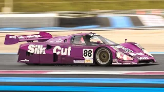 Group C Racing 2019/2020 Paul Ricard: Peugeot 905, Jaguar XJR-12, Toyota 92C-V, Lola T92/10 & More!