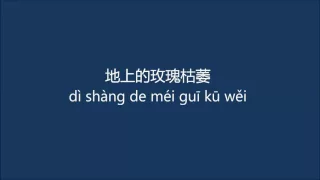 CHONG ER FEI = ,虫儿飞 拼音