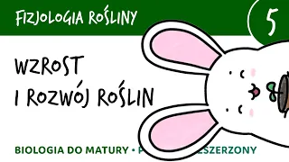 Wzrost i rozwój roślin - Fizjologia roślin 5 - matura z biologii biologia rozszerzona