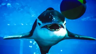 Apex Orca Boss Fight (Maneater) HD