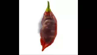 I'M EATING A GHOST PEPPER!!!
