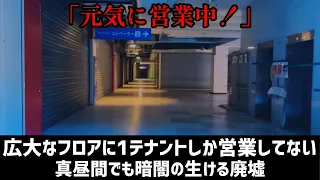 関西最大級の生ける廃墟、遂に終焉へ。【レインボープラザ西大和】