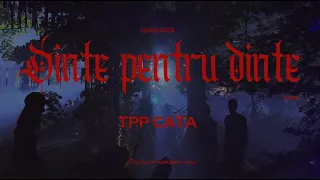TPP Cata - Dinte pentru dinte (Official Visualizer) prod. by @xopurpp @Nirlof