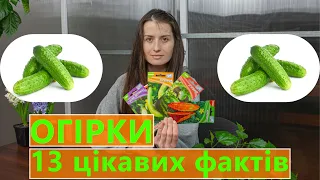 13 ЦІКАВИХ ФАКТІВ ❕ ПРО ОГІРКИ 🥒