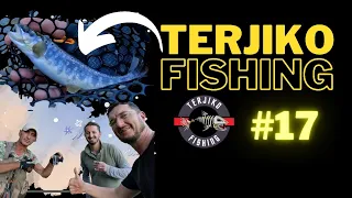 #17. TerjiKo და პირველი კალმახი სპინინგით. კალმახზე თევზაობა სპინინგით 2022. TerjiKo Fishing.