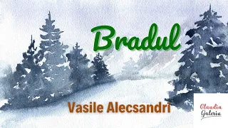 Bradul /Vasile Alecsandri /Poezie de iarnă /Poezii pentru copii /Poezii despre natură și anotimpuri🌲