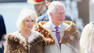 Prince Harry calling Camilla a dangerous villain was 'damaging and unnecessary'