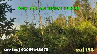 Phim nyuj vai ntshai tub rog 1/22/2019