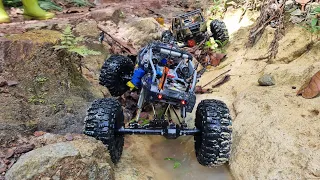 1/10 RC Crawler RGT Rock Hammer vs Axial Wraith in the Rain forest.