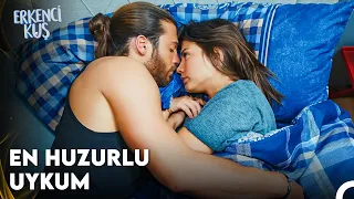 Sevdiğim Adamın Kollarındayım - Erkenci Kuş 19. Bölüm