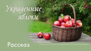 Христианский рассказ  "Украденные яблоки"