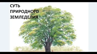 Суть природного земледелия.