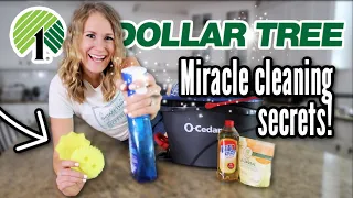 9 *ALL NEW* MIRACLE CLEANERS you SHOULD be buying! ❤️ some BETTER than the Dollar Tree!