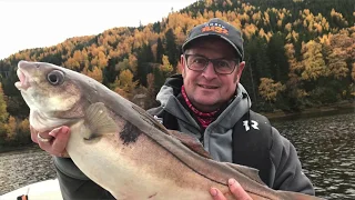 How To Catch Monster Haddock From A boat