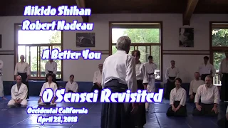 Aikido Shihan Nadeau: OSR: 2018: A Better You