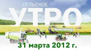 Сельское утро (31 марта 2012)