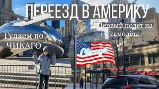 ПЕРЕЕХАЛА ЖИТЬ В АМЕРИКУгуляем по Чикагоvlog1Sofia Zimina