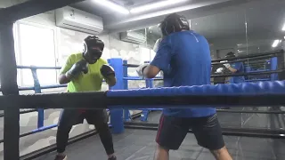Omar vs  Subhaani | Amateur Sparring Session
