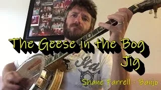 The Geese in the Bog Jig. Irish Tenor Banjo Music - Shane Farrell