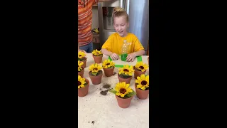 Sunflower Bottle Flip Challenge