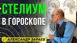 СТЕЛИУМ В ГОРОСКОПЕ / Школа Астрологии онлайн обучение 2019