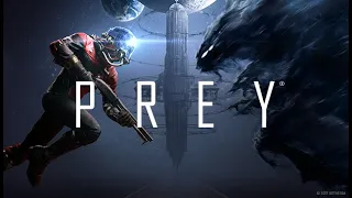 #30 - Prey