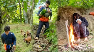 Single father _ picks fruit to sell, saves enough money to buy goats to raise, the woman feels pain