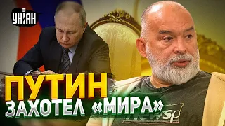 Путин одобрил новый план мира с Украиной. Шейтельман жестко прошелся по "сделке"