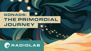 The Primordial Journey | Radiolab Presents: Gonads Episode 1