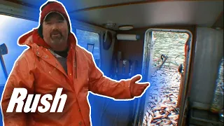 Herring Fishing Boat Catches So Much Fish It Almost Sinks! | Bristol Bay Brawl