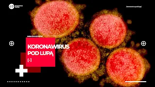 Koronawirus pod lupą | Co to właściwie są wirusy i jak się namnażają?