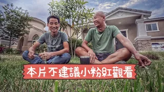 走線到底危險嗎？在美國移民監獄會經歷什麼？中國為什麼很糟糕？