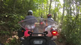 NGBAT Labor Day, Georgia Mountains Adventure Ride (2022 KLR 650 Break In)